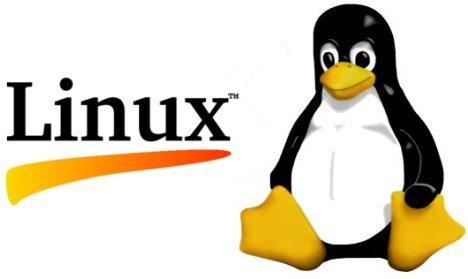 características linux 5.8
