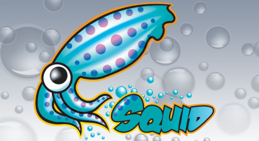 Squid en CentOS 7